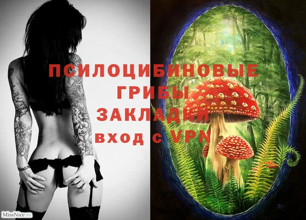 ECSTASY Сосновоборск