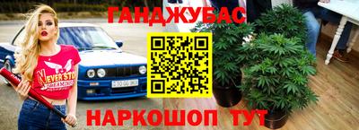 эйфоретик Малгобек