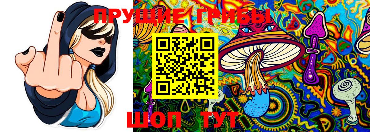 Шумерля  цены   Галлюциногенные грибы Psilocybine cubensis  Вход с VPN  Галлюциногенные грибы мухоморы 